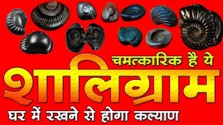 चमत्कारिक है ये शालिग्राम घर में रखने से होगा कल्याण I Shaligram Stone [upl. by Huppert]