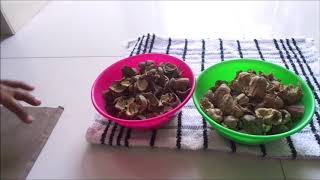 How to make triphala powder at home Thiripala suranam in Tamil திரிபலா பொடி செய்வது எப்படி [upl. by Ahsienek820]