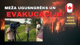 Piedzīvojām meža ugunsgrēku un nokļuvām televīzijā [upl. by Dorina]