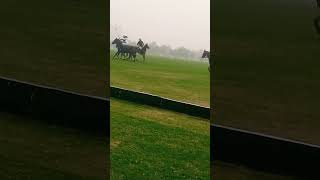 Polo match in Jinnah Polo gruond Lahore [upl. by Tierney]