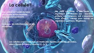 Vidéo contenu cours de biologie cellulaire 2024LYaici [upl. by Chamberlain]