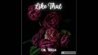 CNL TRIGGA  Like That Official Music Video [upl. by Ramoh285]