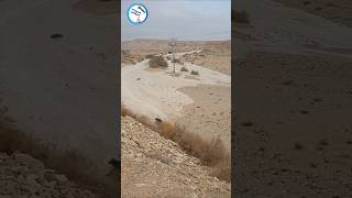 Epico En Israel  Aguas Invaden El Desierto [upl. by Charlena258]