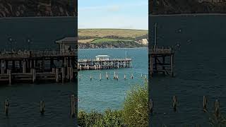 People on the pier Swanage Dorset the Knotman [upl. by Yelsgnik]