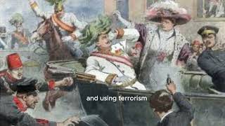 FYIThe Assassination of Archduke Franz FerdinandThe Shot That Started World War I ww1 history [upl. by Enisaj]