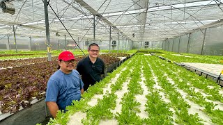 The BIGGEST HYDROPONIC FARM in METRO MANILA May Competition ba sa UPLAND FARMS ng CORDILLERA [upl. by Ricardo]