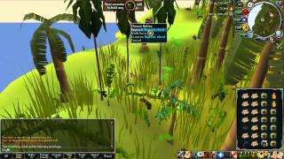 RS Woodcutting guide  Ape Atoll Teaks  100k xph June 2012 [upl. by Cadell]