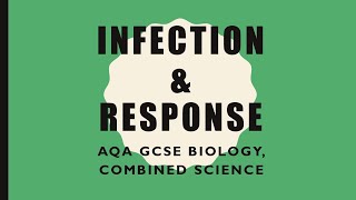 Infection and Response Revision  GCSE BiologyCombined Science [upl. by Euqcaj]