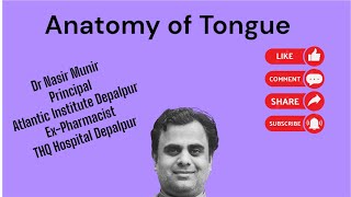 Anatomy of Tounge [upl. by Dupre621]