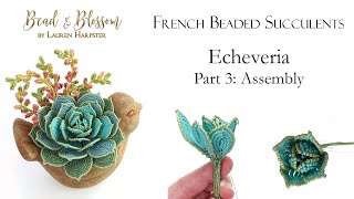 French Beaded Succulents  Echeveria Part 3 Assembly [upl. by Gilmour]