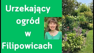 OGRÓD moich MARZEŃ w Filipowicach My dream GARDEN in Filipowice English CCsnapisysubtitles [upl. by Reteip]