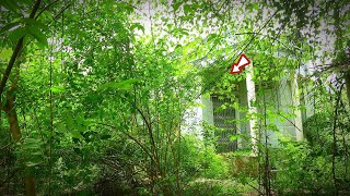 Abandoned House Inaccessible Years After Tragic Accident [upl. by Oesile]