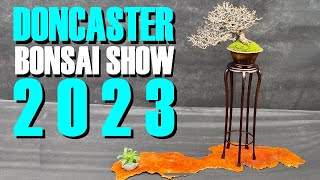 The Doncaster Bonsai Experience 2023 Bonsai Show UK [upl. by Nnaycart]