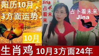 生肖鸡🐓重生 新生 财富新篇章🍀阳历10月3方面运势 焦点amp事业amp财富amp感情 2024年10月运势 🌞 [upl. by Nihs]