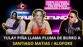 se filtra audio de Santiago Matias ALOFOKE donde dice casi caer preso por agredir a Chary Lea [upl. by Lisle638]