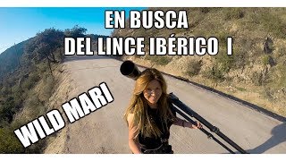 EN BUSCA DEL LINCE IBERICO PARTE I [upl. by Drahser232]