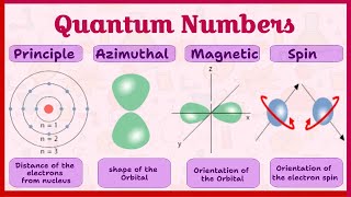 Quantum numbers For Beginners  Quantum Numbers in chemistry  All in one [upl. by Ahsetal748]