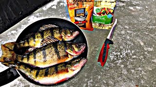 Ice Fishing Perch  Perch Catch And Cook [upl. by Friedrick]