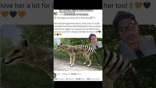 Thylacine photos debunked [upl. by Nabetse853]