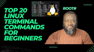 Master the Linux Terminal Top 20 Commands for Beginners  linux Command Line tutorial [upl. by Dnalyag]