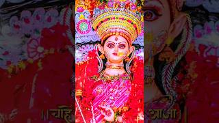 लाखों है रूप माँ तेरे चाहे जिस रूप मै आजा  Navratri Status  Navratri Status Video jaimatadistatus [upl. by Uzzial]