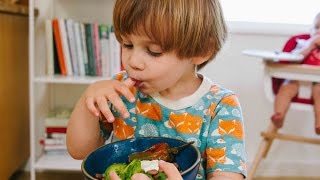 SlowSimmered Pinto Beans  In the Kitchen with Amelia amp Teddy [upl. by Nydia371]