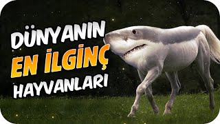 Varlığını Hayal Bile Edemeyeceğin İlginç Hayvanlar 🦕 [upl. by Lucien]