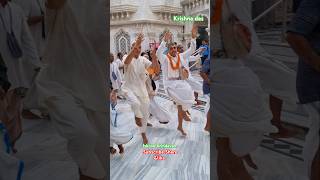 iskcon Vrindavan gurupuja darshan kirtan iskcon vrindavan darshan kirtan shorts viral krishna [upl. by Nhepets346]