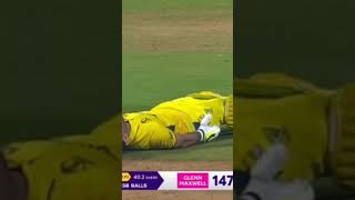 Glenn Maxwell 201  world cup 2023 shorts video [upl. by Uolyram]