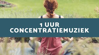 Inspiratiemuziek Concentratiemuziek voor Deepwork en Focus [upl. by Ynnal]