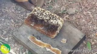 howto Honeybees setup in januvary supper ada kettal part 3theneecha krishi [upl. by Audri777]