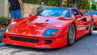 Ferrari F40 in Houston 🔥 [upl. by Nevek421]