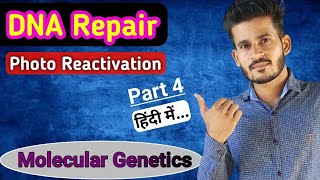 Photo reactivation  DNA Repair  Part 4  MSc CSIR NET GATE [upl. by Leugim]