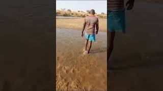 mighty Zambezi river on zambia Zimbabwe border dry due to severe drought [upl. by Aaberg]