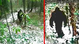 Expedition Bigfoot Crew Evacuated After Drone Captured TERRIFYING Bigfoot Footage [upl. by Sivi]