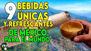 9 BEBIDAS ÚNICAS Y REFRESCANTES DE MÉXICO PARA EL MUNDO [upl. by Anyzratak]