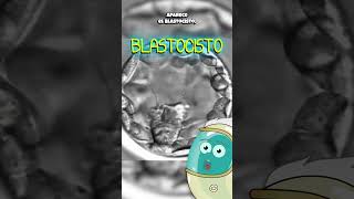 ¡El Maravilloso Inicio De La Vida curiosidades sabiasque historia medicina ciencia shorts [upl. by Yeliac356]