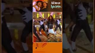 నీవే కదా నా స్వీటు ఫిగరుNeeve kada Na Sweetu Figaru Song  Neti Siddhartha shorts youtubeshorts [upl. by Annah52]