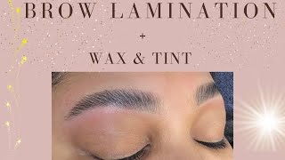 Brow Lamination Plus Wax and Tint [upl. by Quinton]