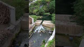 A mysterious pool of water was found in the deep mountains of Zunyi Guizhou The water in the p [upl. by Maye453]