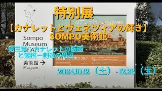 展覧会13特別展2024年10月【SOMPO美術館：カナレットとヴェネツィアの輝き】第三章 [upl. by Nichol584]