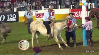 Jineteada en el Festival de Jesús María 2016 Tanda 4 [upl. by Calvinna]