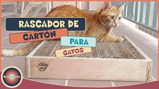 Cómo hacer un RASCADOR de cartón para gatos FÁCIL Y MUY ECONÓMICO [upl. by Adnoral]