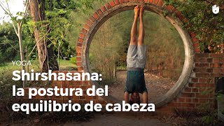 Shirshasana el equilibrio de cabeza  Yoga [upl. by Wendall]