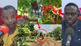 My cofarmer dêstrôyêd my Cashew farm amp claims the ownership of my land Old man aççûsêd Chief [upl. by Hcirdeirf]