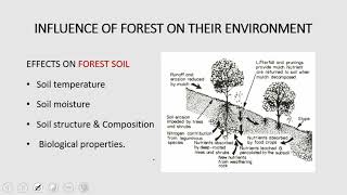 9 RPSCACF 2020  Silviculture  influence of forest over their environment tree growth forms [upl. by Addiel]