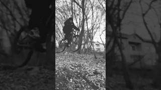 🚬freeride bike bycycle [upl. by Ahrendt]