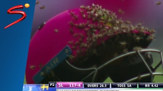 South Africa vs Sri Lanka  Bees Swarm Cricket Field During Pink ODI  SuperSport [upl. by Ttihw]