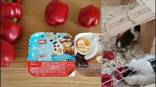 Joghurt mit der Ecke und Paprika  Vlog [upl. by Eitsirk]