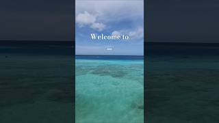 welcome to aruba youtubeshorts youtubevideo nature travel beach fyp 🇦🇼 [upl. by Nniw710]